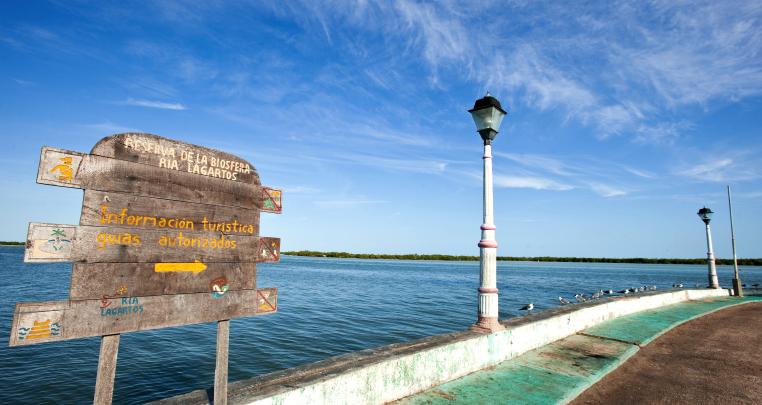 Galería de RIO LAGARTOS