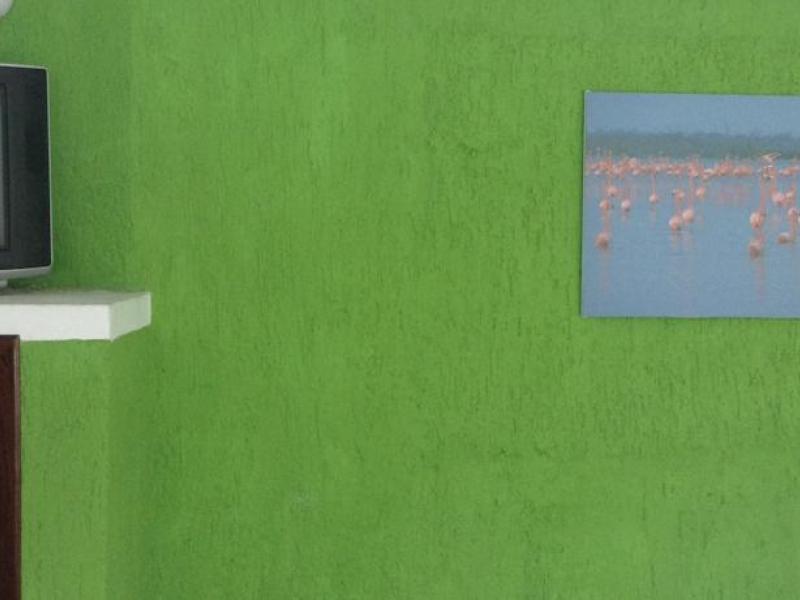 Cargando galería