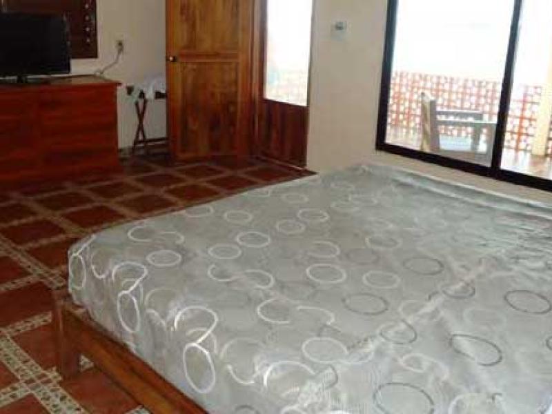 Cargando galería